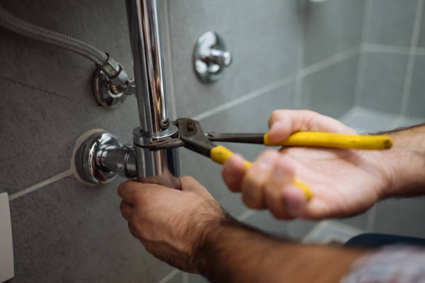 Best Plumbing Services Near Me  in Perrysburg, OH
