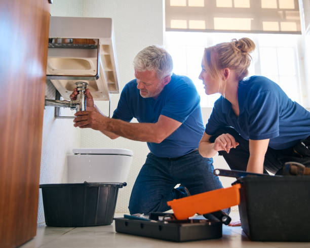 Best Clogged Drain Plumber  in Perrysburg, OH